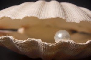 clam-with-pearl